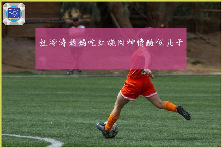 杜海涛妈妈吃红烧肉神情酷似儿子