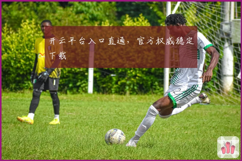 开云平台入口直通，官方权威稳定下载